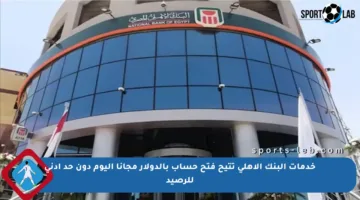 خدمات البنك الأهلي تتيح فتح حساب بالدولار مجانا اليوم دون حد أدنى للرصيد